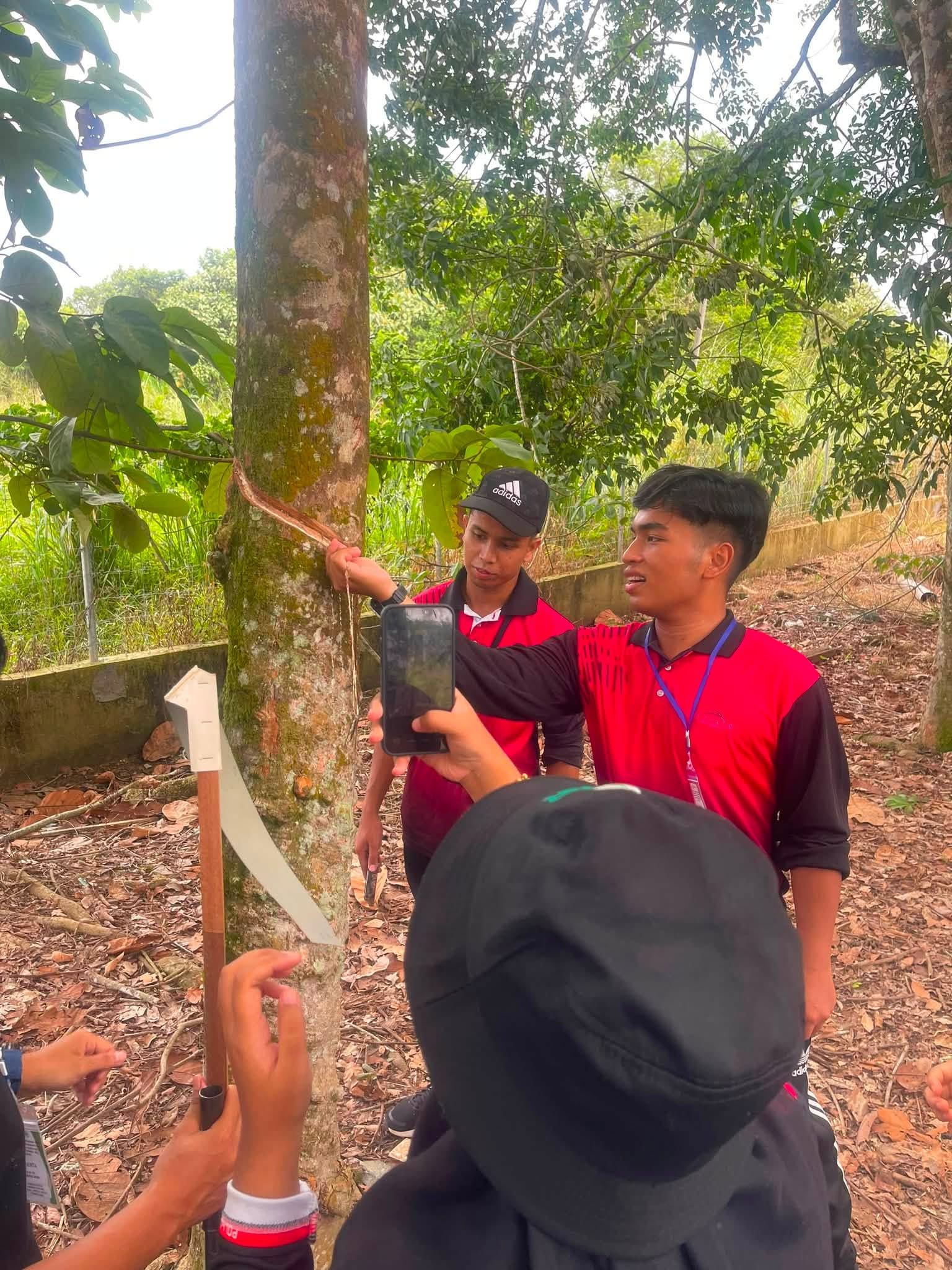 Gambar ilustrasi